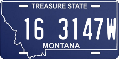 MT license plate 163147W