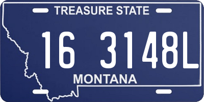 MT license plate 163148L
