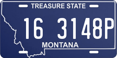 MT license plate 163148P