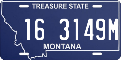 MT license plate 163149M