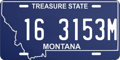 MT license plate 163153M