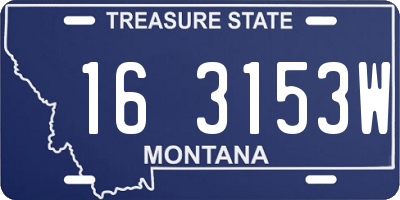 MT license plate 163153W