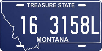 MT license plate 163158L