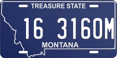 MT license plate 163160M