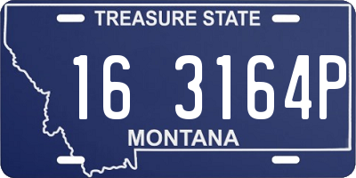 MT license plate 163164P