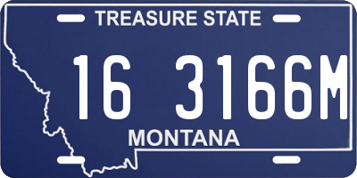 MT license plate 163166M