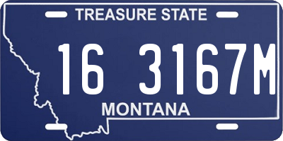 MT license plate 163167M