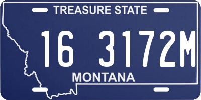 MT license plate 163172M