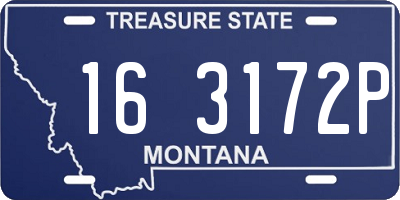 MT license plate 163172P