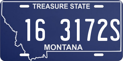 MT license plate 163172S