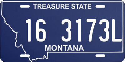 MT license plate 163173L