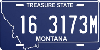 MT license plate 163173M