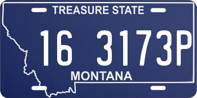 MT license plate 163173P