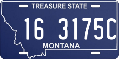 MT license plate 163175C