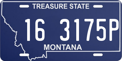 MT license plate 163175P