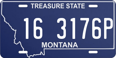 MT license plate 163176P