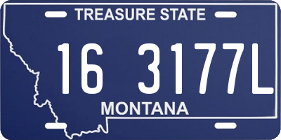 MT license plate 163177L