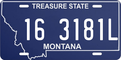 MT license plate 163181L