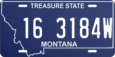MT license plate 163184W