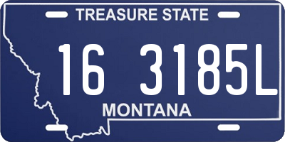 MT license plate 163185L