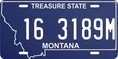 MT license plate 163189M