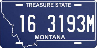 MT license plate 163193M