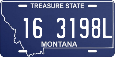 MT license plate 163198L