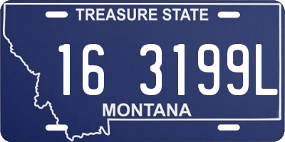 MT license plate 163199L