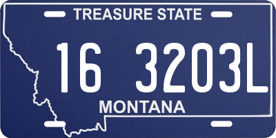 MT license plate 163203L