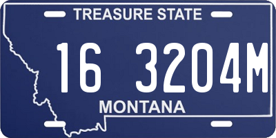 MT license plate 163204M