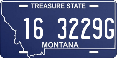 MT license plate 163229G