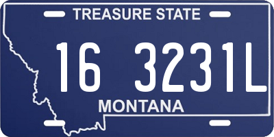 MT license plate 163231L