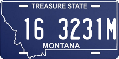 MT license plate 163231M