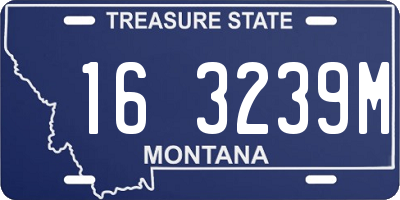 MT license plate 163239M
