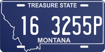 MT license plate 163255P