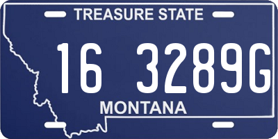 MT license plate 163289G