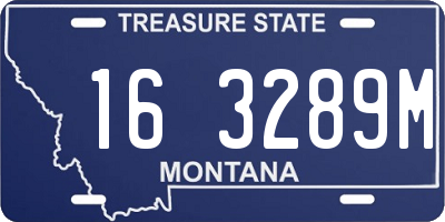 MT license plate 163289M