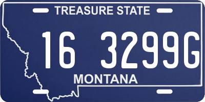 MT license plate 163299G