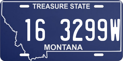 MT license plate 163299W