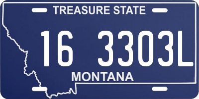 MT license plate 163303L