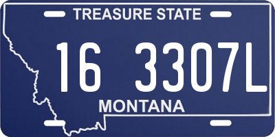 MT license plate 163307L