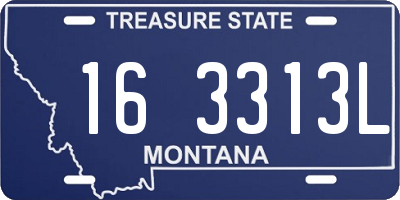 MT license plate 163313L