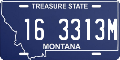 MT license plate 163313M
