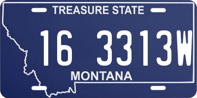 MT license plate 163313W