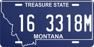 MT license plate 163318M
