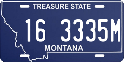 MT license plate 163335M