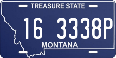 MT license plate 163338P