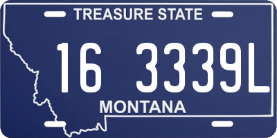 MT license plate 163339L