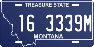 MT license plate 163339M