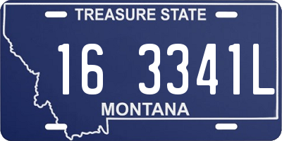 MT license plate 163341L